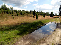 2007 Lüneburger Heide