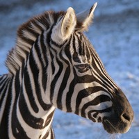 2009 Zoo Wuppertal